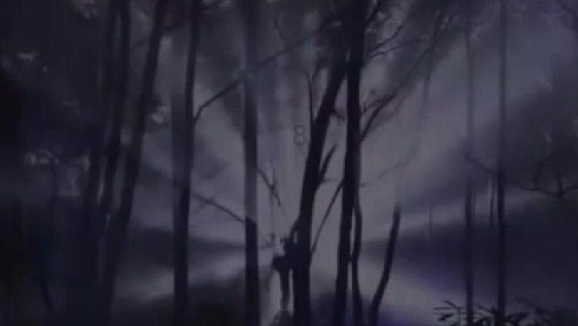 花瓶粉碎者